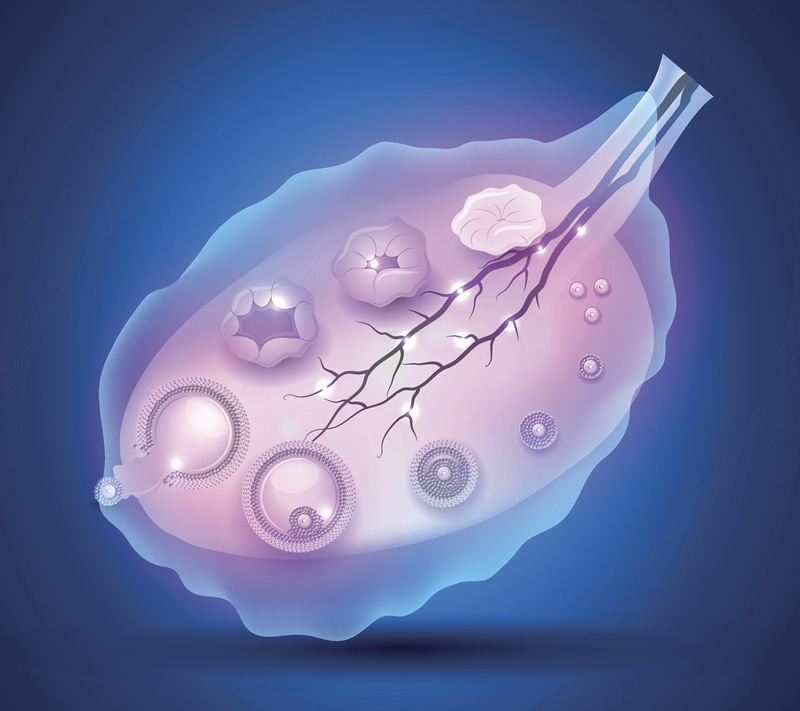 国内三代试管助孕机构大盘点,十大助孕公司技术解析!